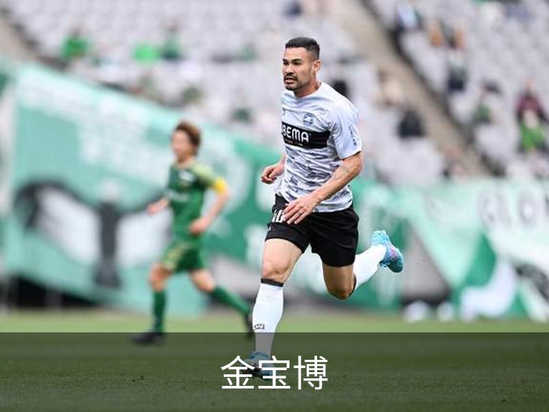 金宝博概况